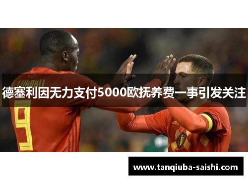 德塞利因无力支付5000欧抚养费一事引发关注